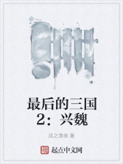 最后的三國2：興魏