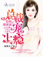 隱婚甜蜜蜜：總裁，寵上癮