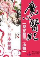 魔心醫(yī)妃：獨寵腹黑二小姐