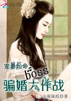 寵妻如命：boss騙婚大作戰