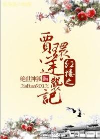 紅樓之賈環(huán)逆襲記