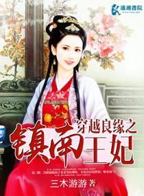 穿越良緣之鎮南王妃