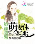 暖婚蜜愛(ài)：盛寵小甜妻