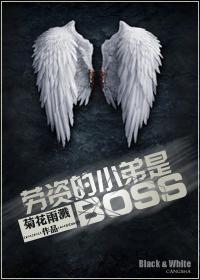 (系統(tǒng))勞資的小弟是BOSS