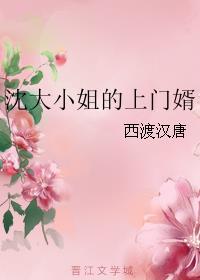 沈大小姐的上門(mén)婿