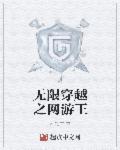 無限穿越之網(wǎng)游王