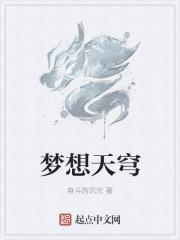 夢(mèng)想天穹