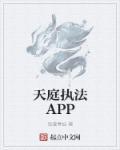 天庭執(zhí)法APP