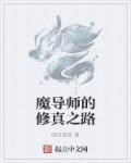 魔導(dǎo)師的修真之路