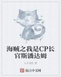 海賊之我是CP長官斯潘達姆