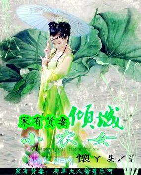 家有賢妻：傾城小農(nóng)女