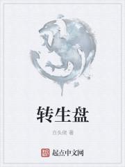 轉(zhuǎn)生盤